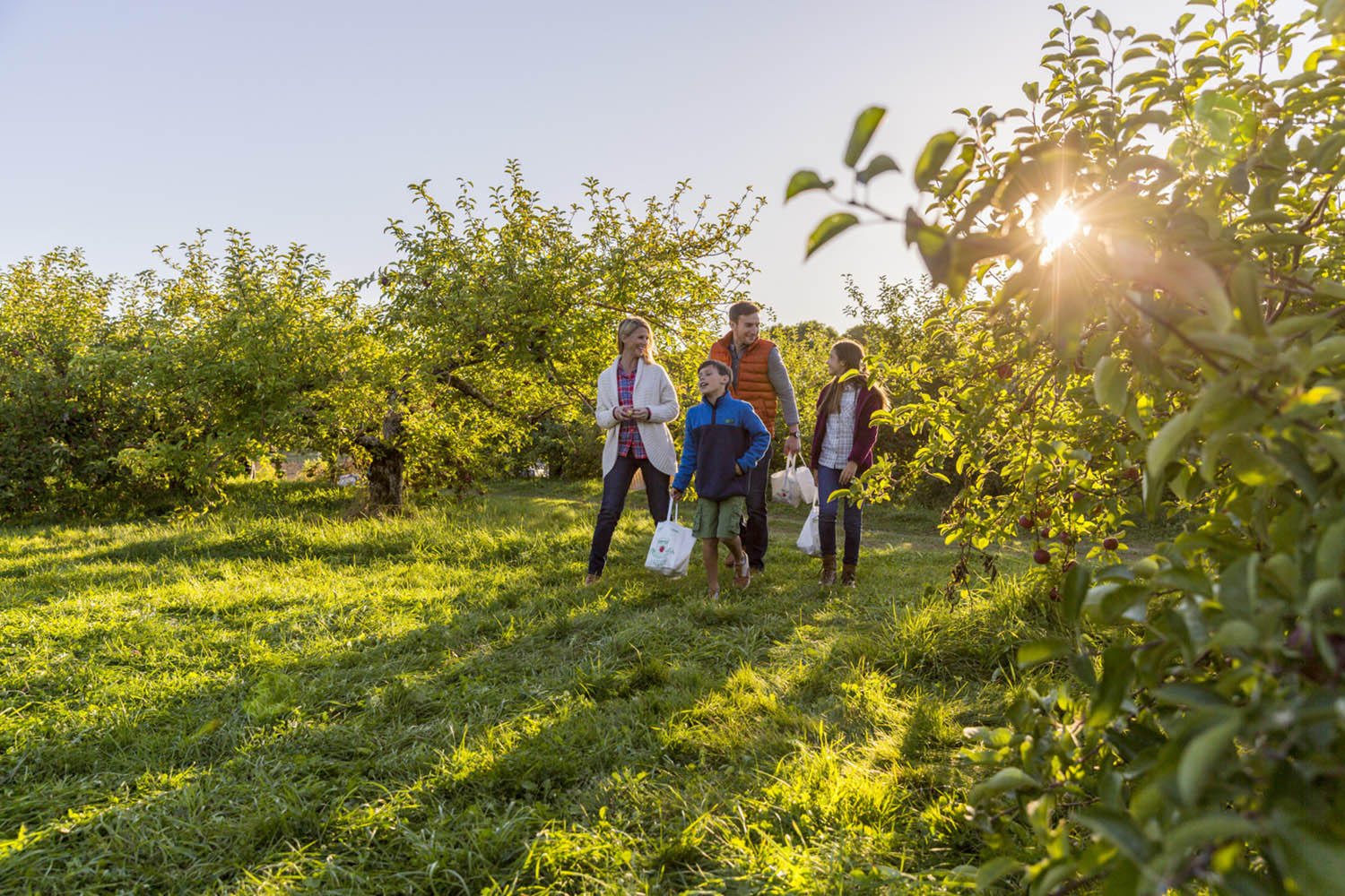 A family walking through a New Hampshire apple orchard